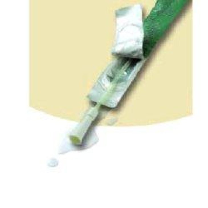 SPEEDICATH  Nel.D Ch10 28510