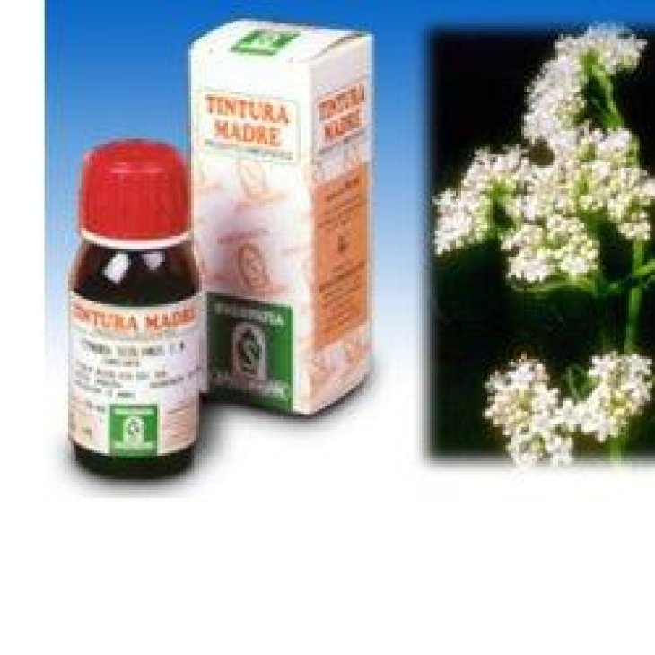 SP.VALERIANA Off.TM 50ml