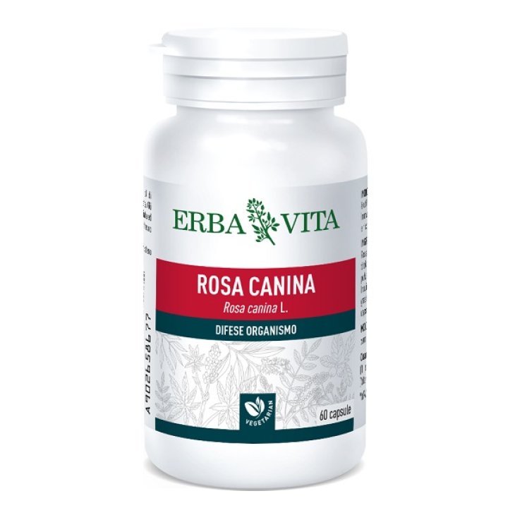 ROSA CANINA 60CPS 400MG