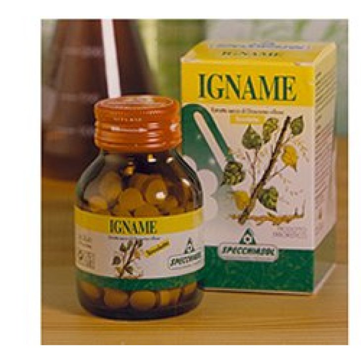 IGNAME ERBE 60TAV SPECCH