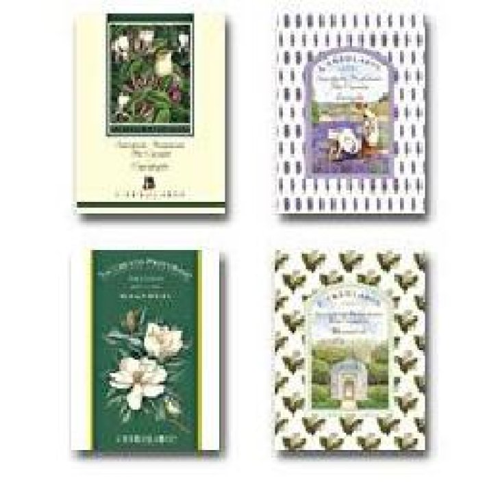 LAVANDA SACCHETTO PROF CASS