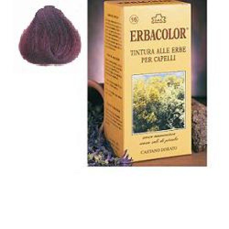 ERBACOLOR 13 TINT BIO MOG210ML