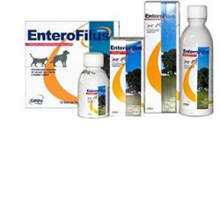 ENTEROFILUS OS 12FLAC 10ML VET