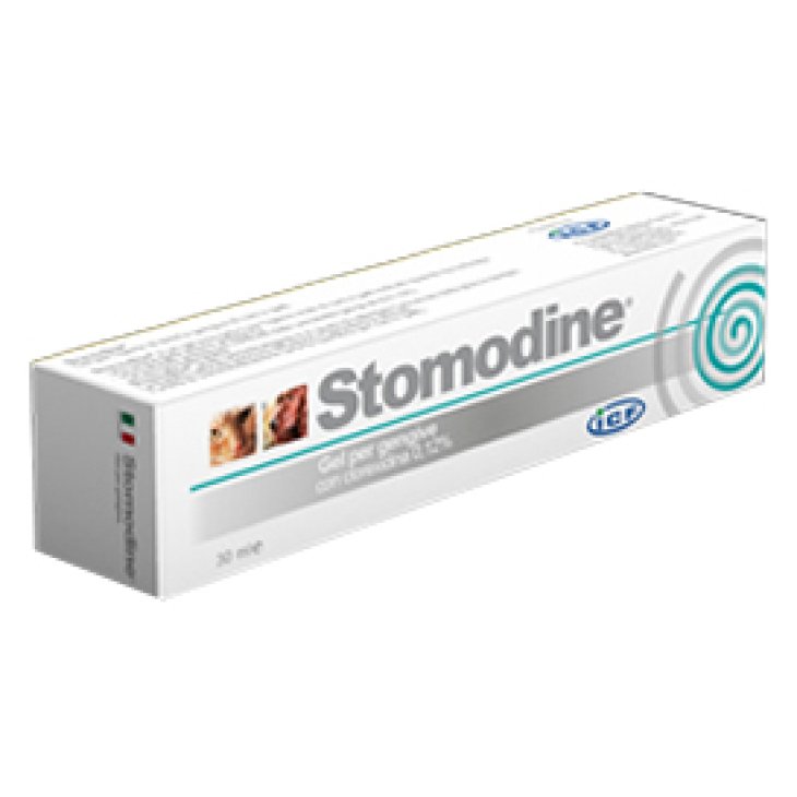 STOMODINE GEL GENG 30ML CANI