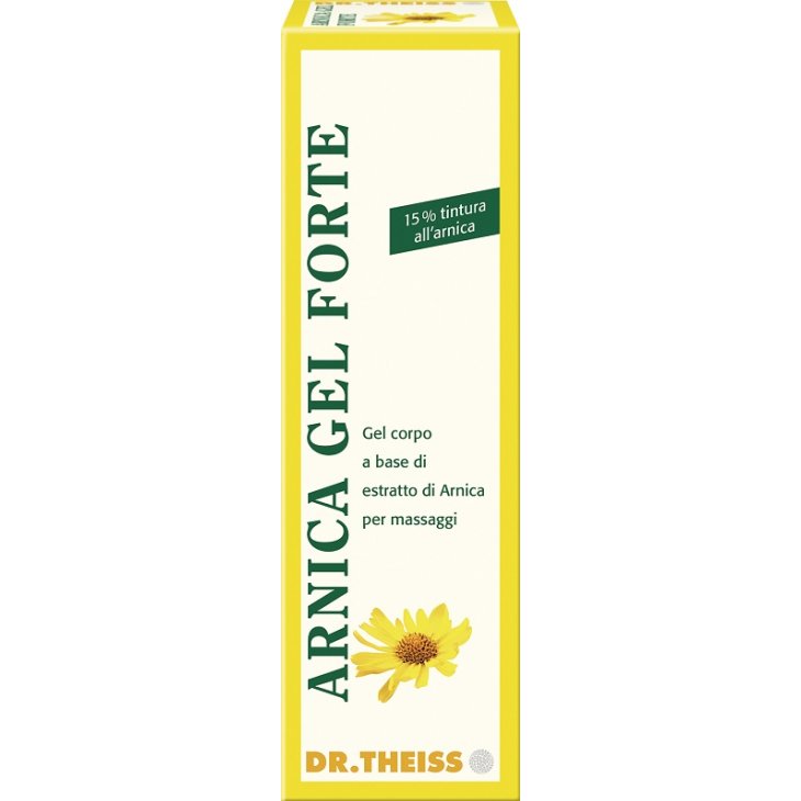 ARNICA GEL FTE 100 DR.THEISS