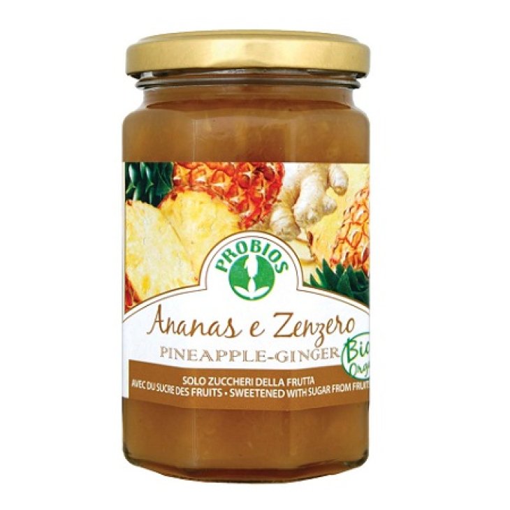 FRU COMPOSTA ANANAS/ZENZERO