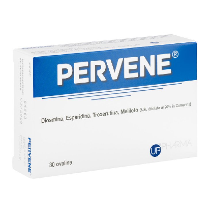 PERVENE 30 OVALINE PERVENE 30 OVALINE
