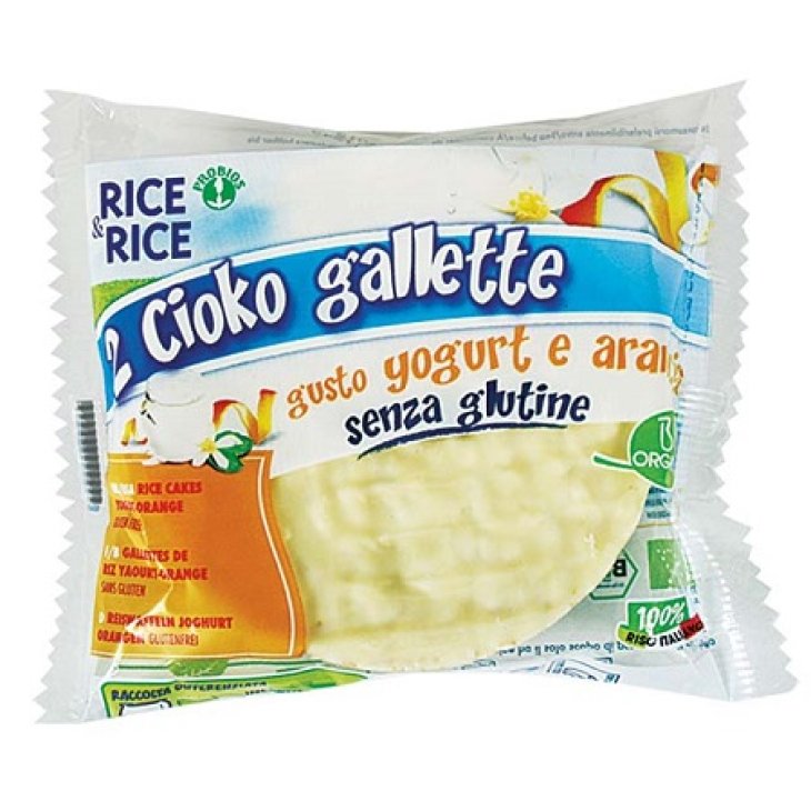 R&R CIOKO GALLETTE YOGURT ARA