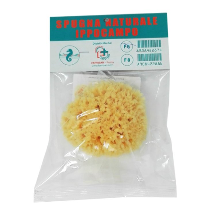SPUGNA NATURALE IPPOCAMPO 6