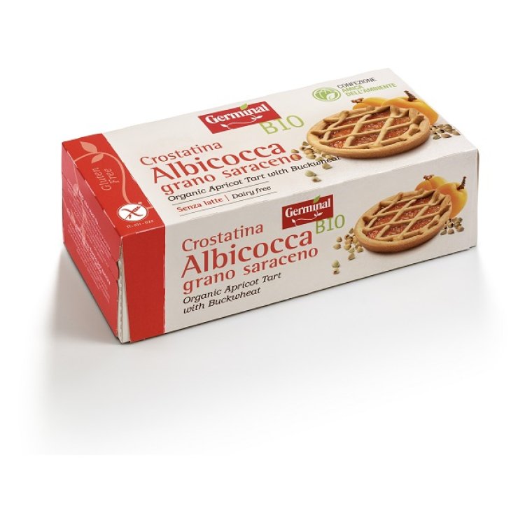 CROSTATINA ALBICOCCA GRANO SAR