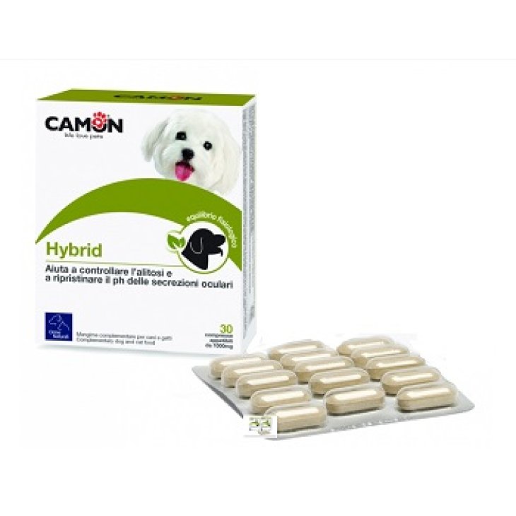 HYBRID 30CPR CAMON