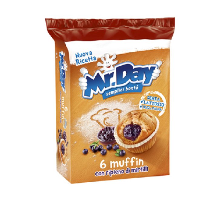 MR DAY MUFFIN MIRTILLI RIP MIR