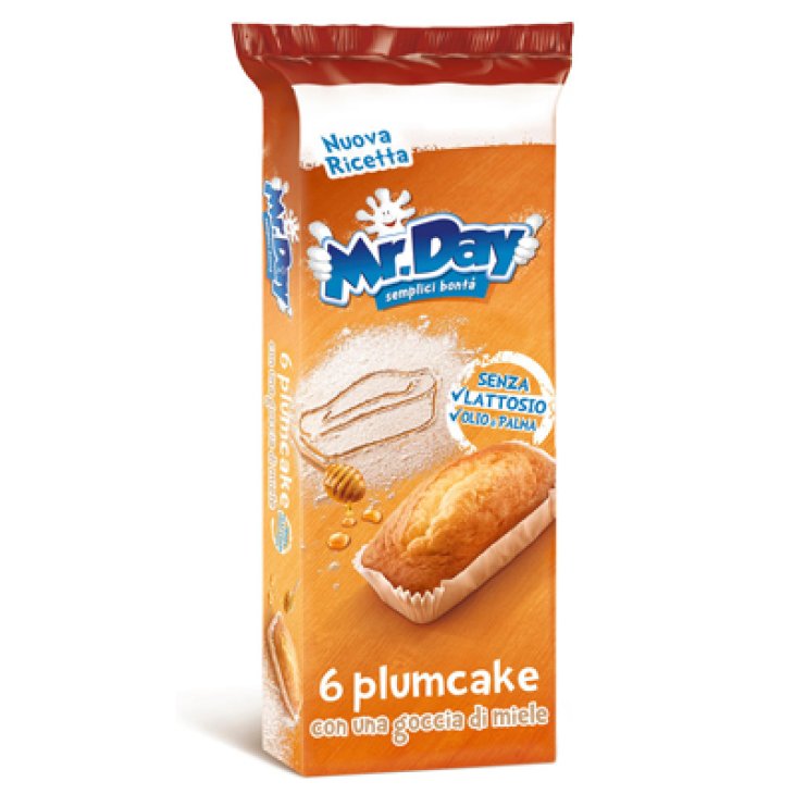 MR DAY PLUMCAKE 6X31,6G