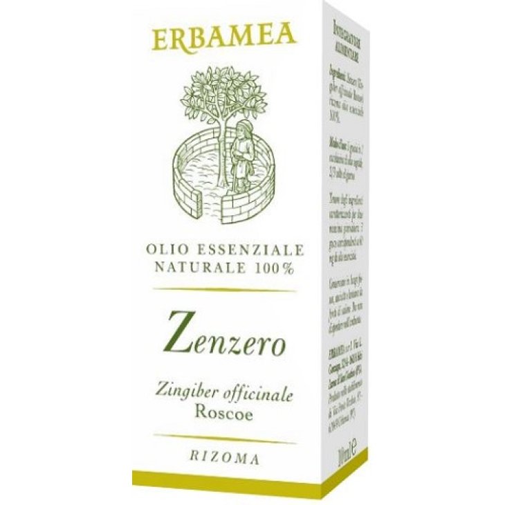 ZENZERO 10ML