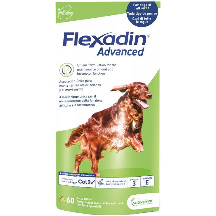 FLEXADIN ADVANCED 60TAV MASTIC