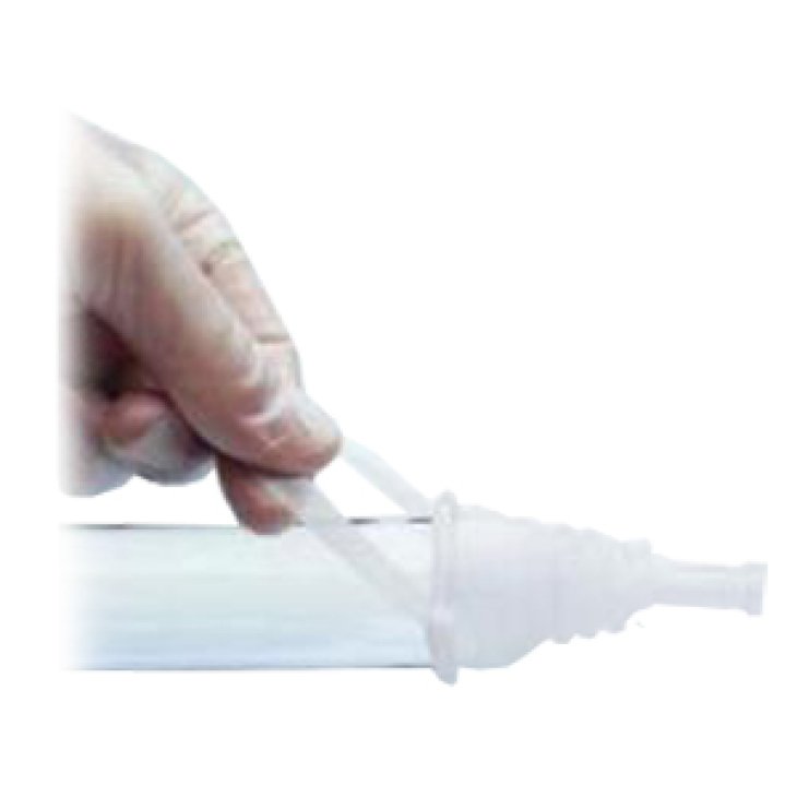 OPTIMA Short Cat.30cm 30pz