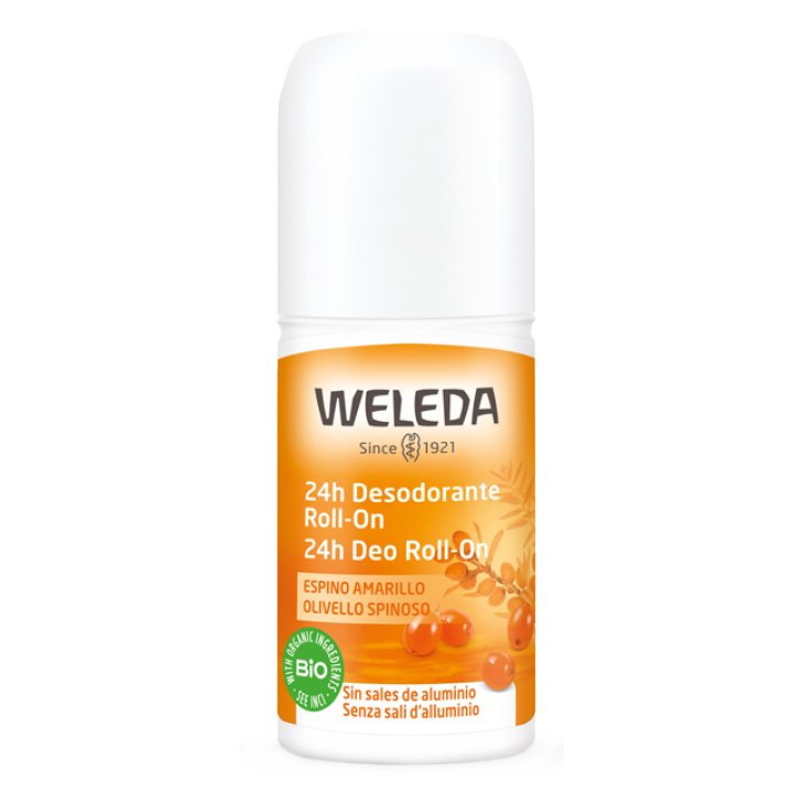DEO ROLL ON OLIVELLO 50ML 24H WE