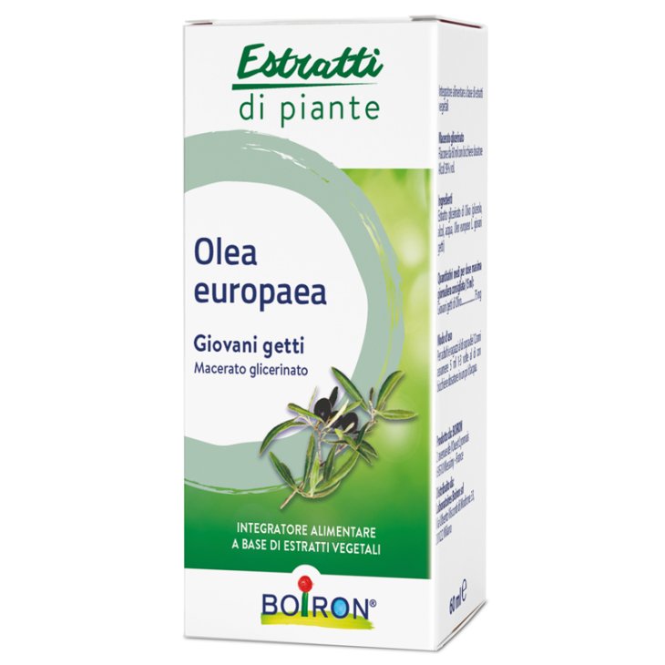 BO.OLEA EUROPEA MG 60ml