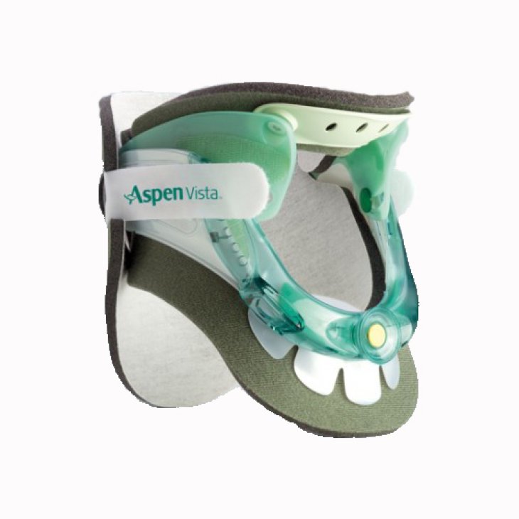 FGP Coll.Cerv.Biv.Vista