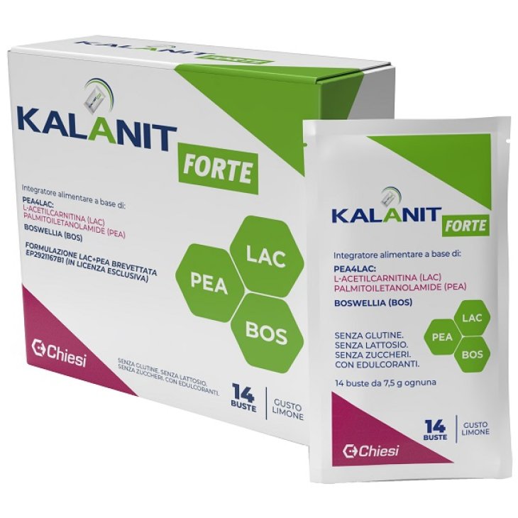 KALANIT FORTE 14BUST