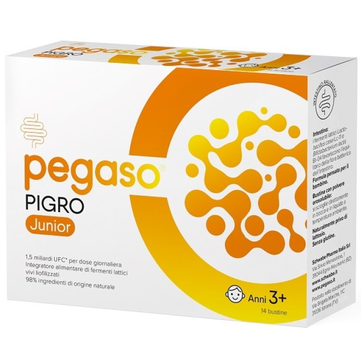 PEGASO AXIDOPHILUS J 14BUST