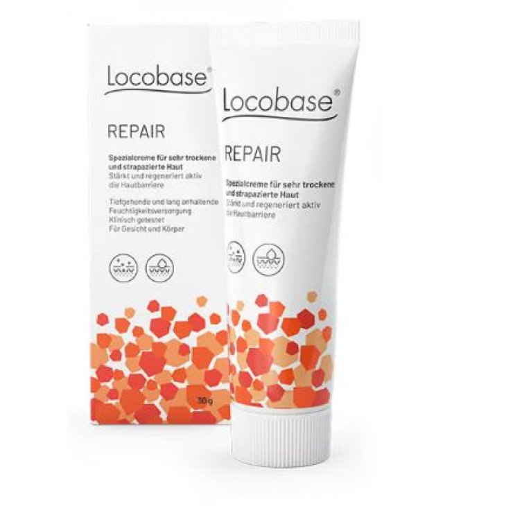 LOCOBASE-REPAIR 100G