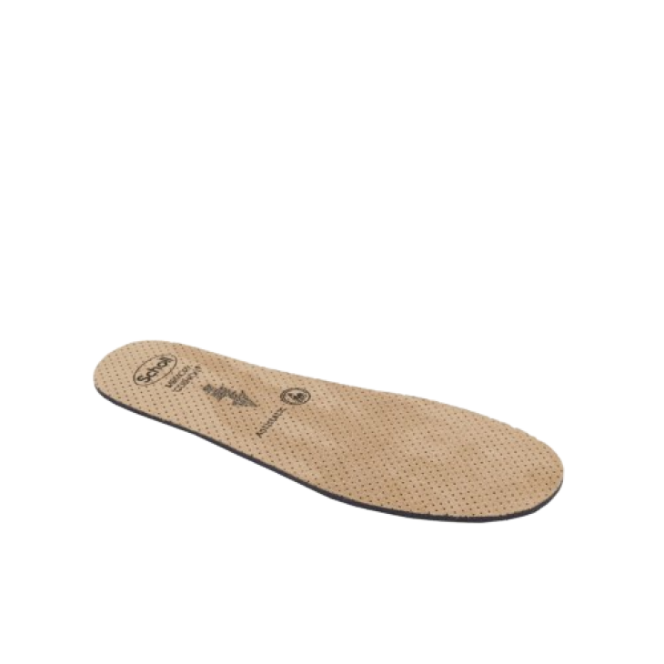 CLOG EVO Soletta A-Static36/37
