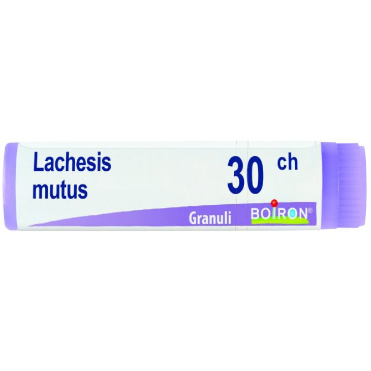 LACHESIS MUTUS 30CH GL BO