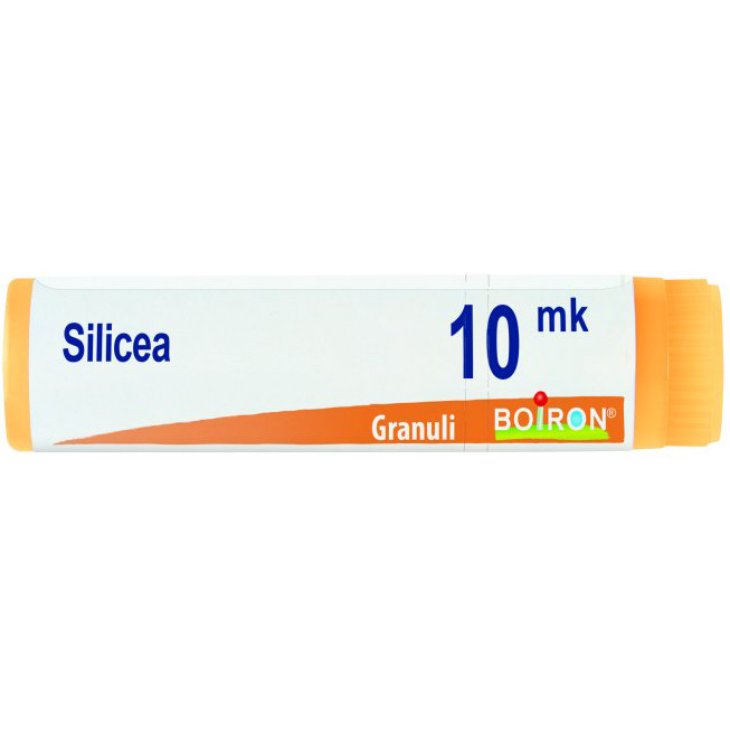 SILICEA XMK GL BO