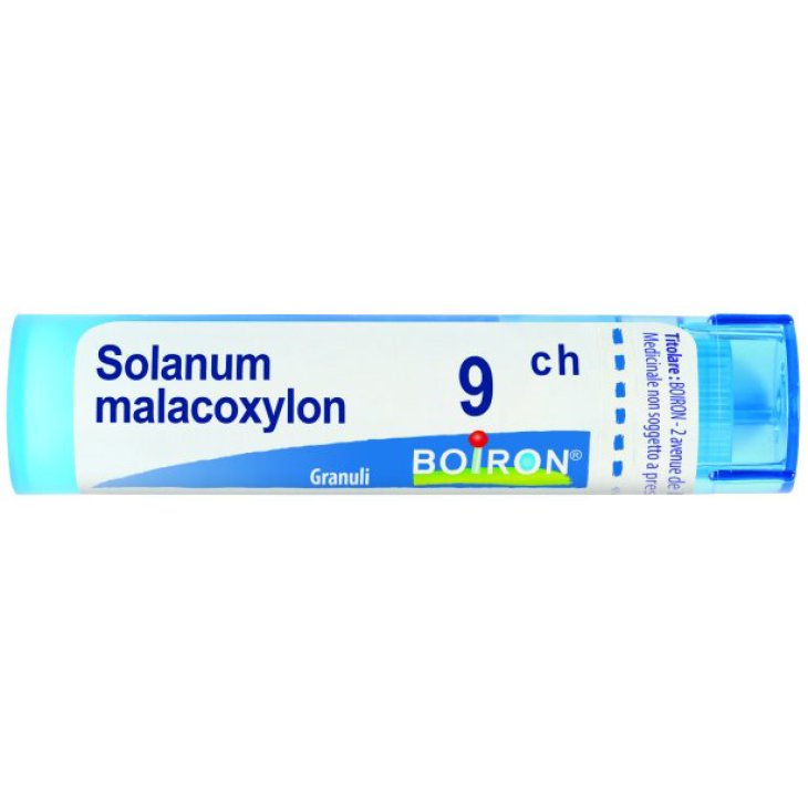 BO.SOLANUM MALAC.Tubo  9CH