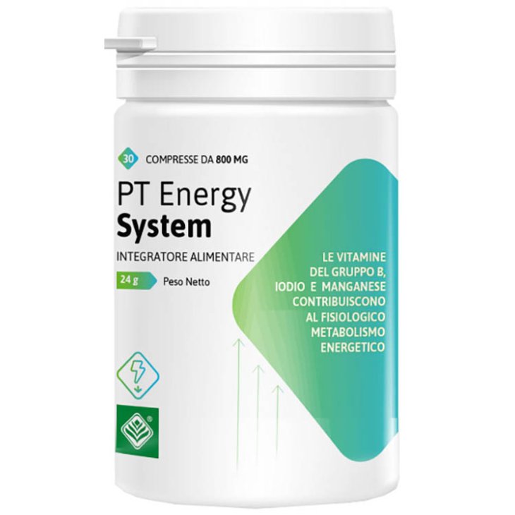 PT ENERGY SYSTEM 30CPR 24G PT ENERGY SYSTEM 30CPR 24G