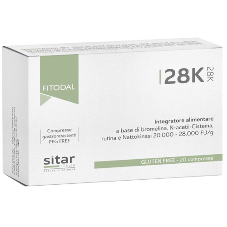28K 20CPR FITODAL SITAR