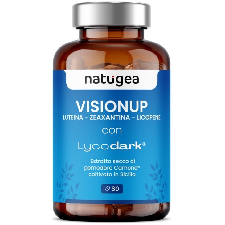VISIONUP 60 Cpr