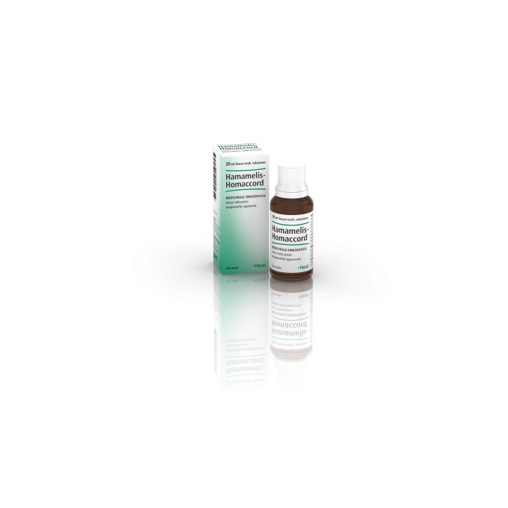 HAMAMELIS HOMACCORD OS GTT30ML