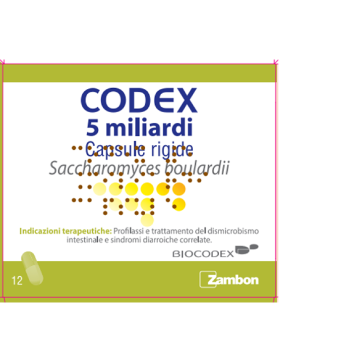 CODEX 12CPS 5MLD 250MG